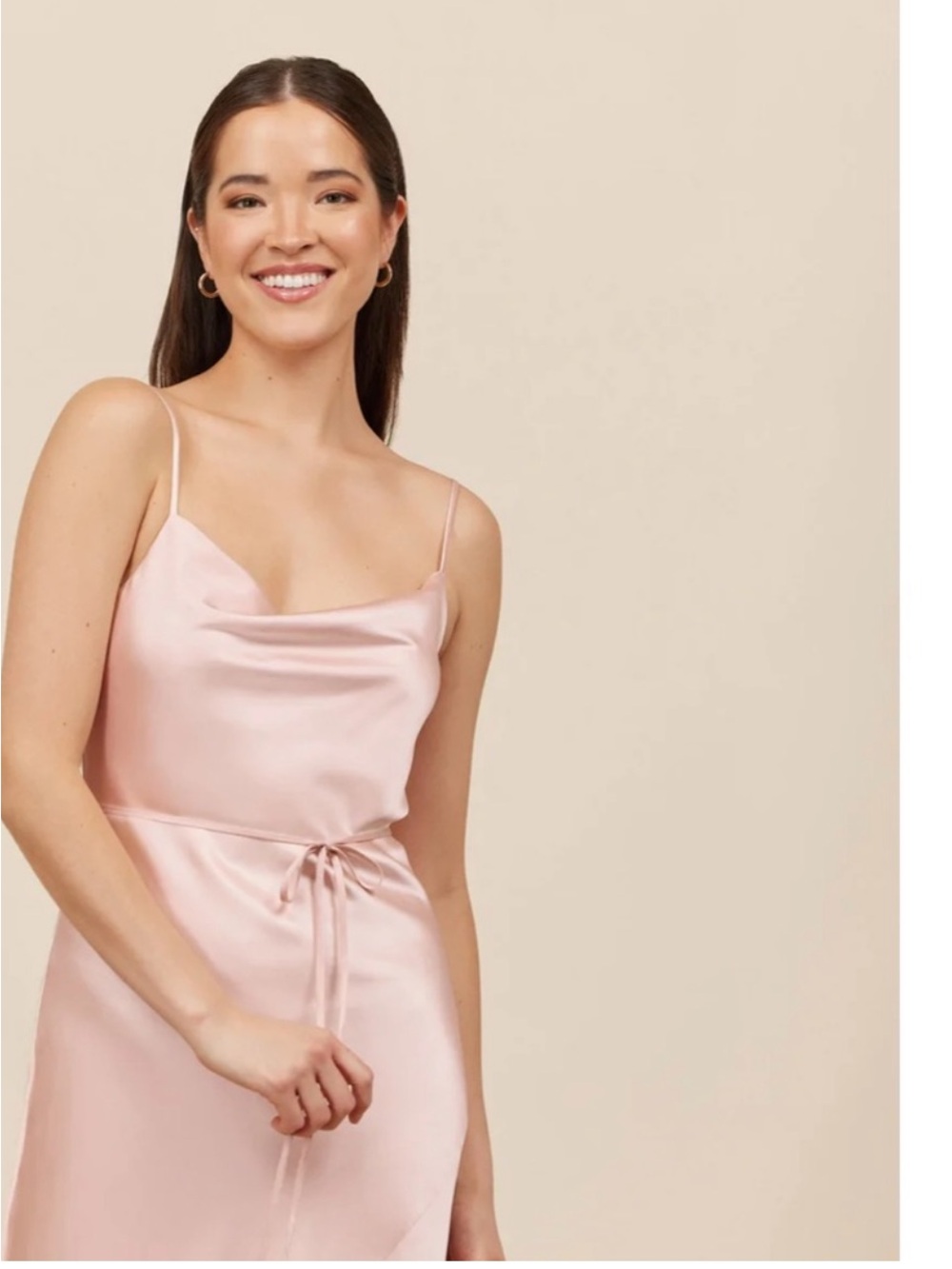 BNWT Park & Fifth Sullivan Dress in Blush